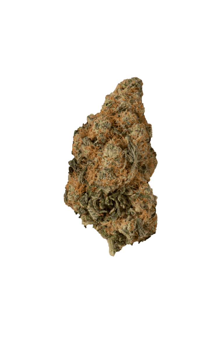 flower_TangerineCookiesBuds