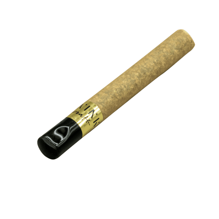 wink_2gCeramicTipPreRoll_v03